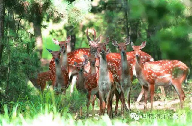 山东刘公岛旅游,刘公岛最美海岛