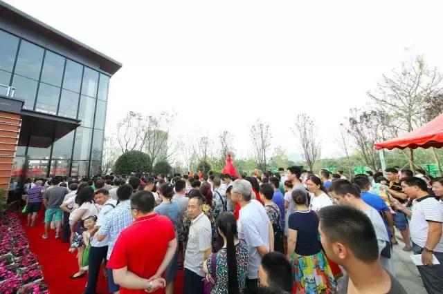 金沙城板块价值,成都下半年房地产市场