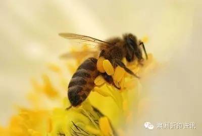 healthycare评测,healthycare十大必买产品