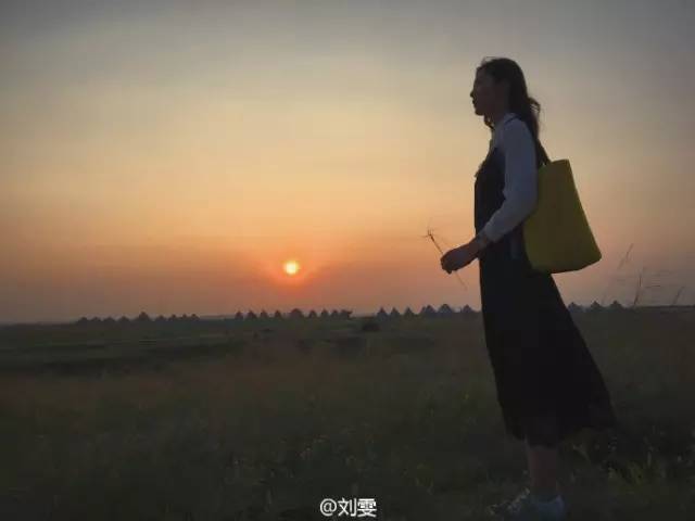 李光洙孔孝真赵寅成李圣经,孔孝真李圣经赵寅成