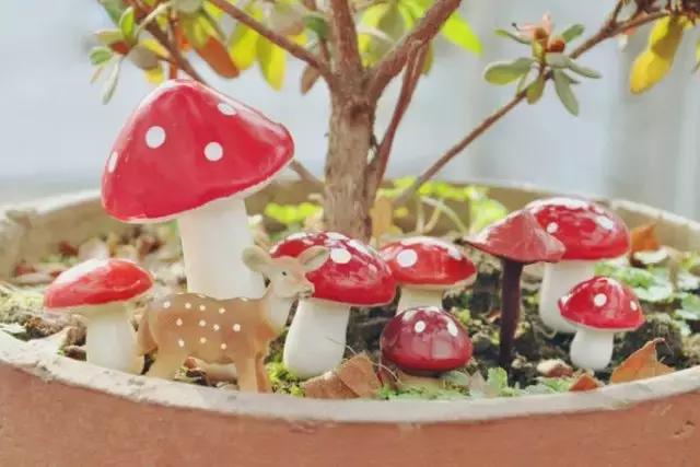 唯美精美发饰,绝美发饰小物发型配它准没错