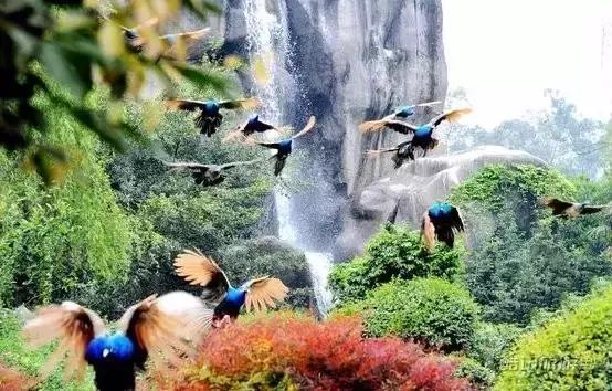 你只听过汉南,却不知道它的传奇!今年的汉南将高不可攀!