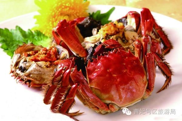 滨海湿地,曹妃甸湿地文化旅游度假区