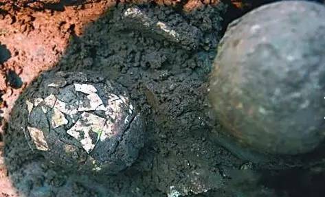 30年大厨教我西红柿炒鸡蛋新做法,番茄炒鸡蛋历史