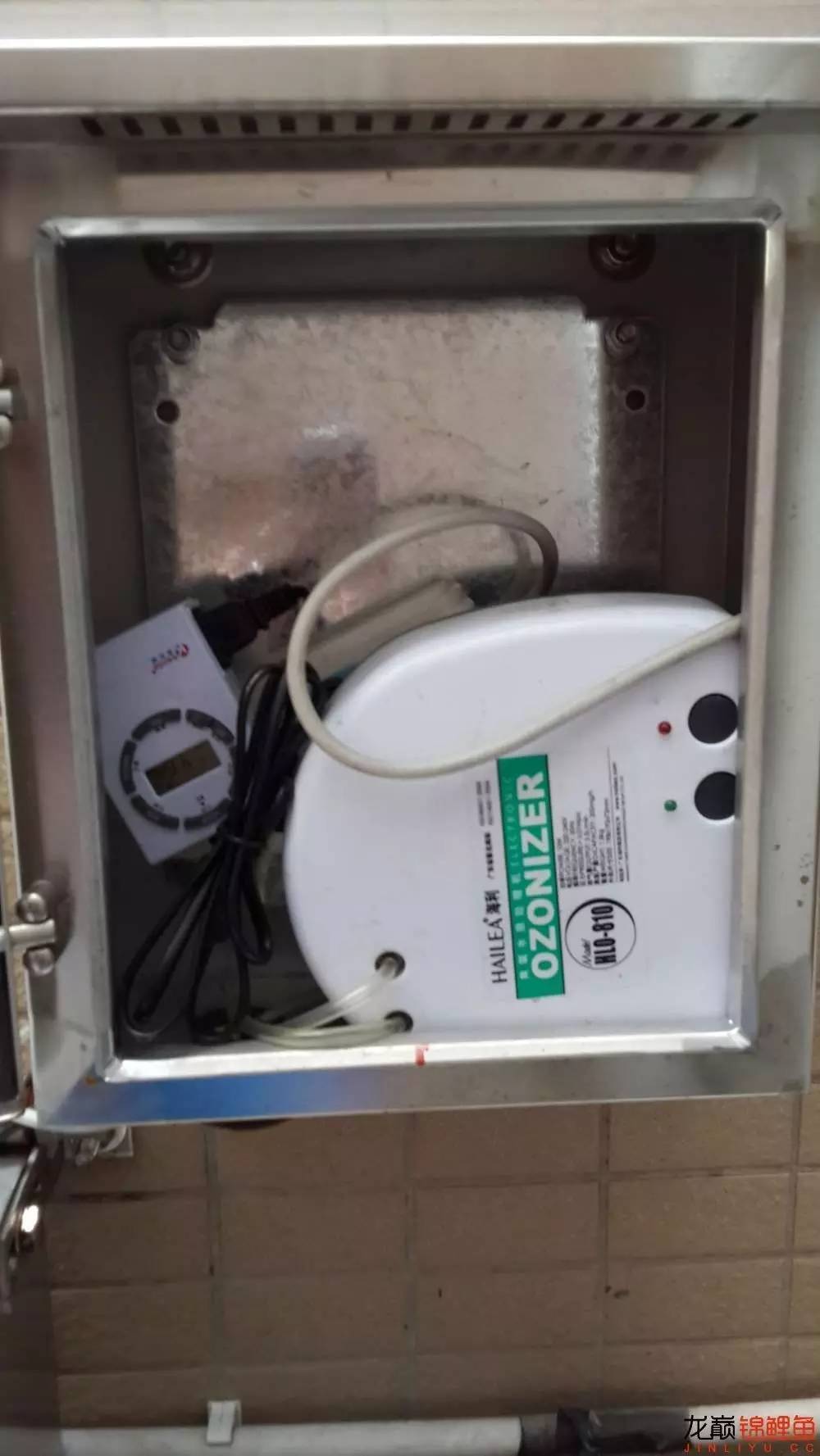 有效杀蚊,最好的杀蚊办法