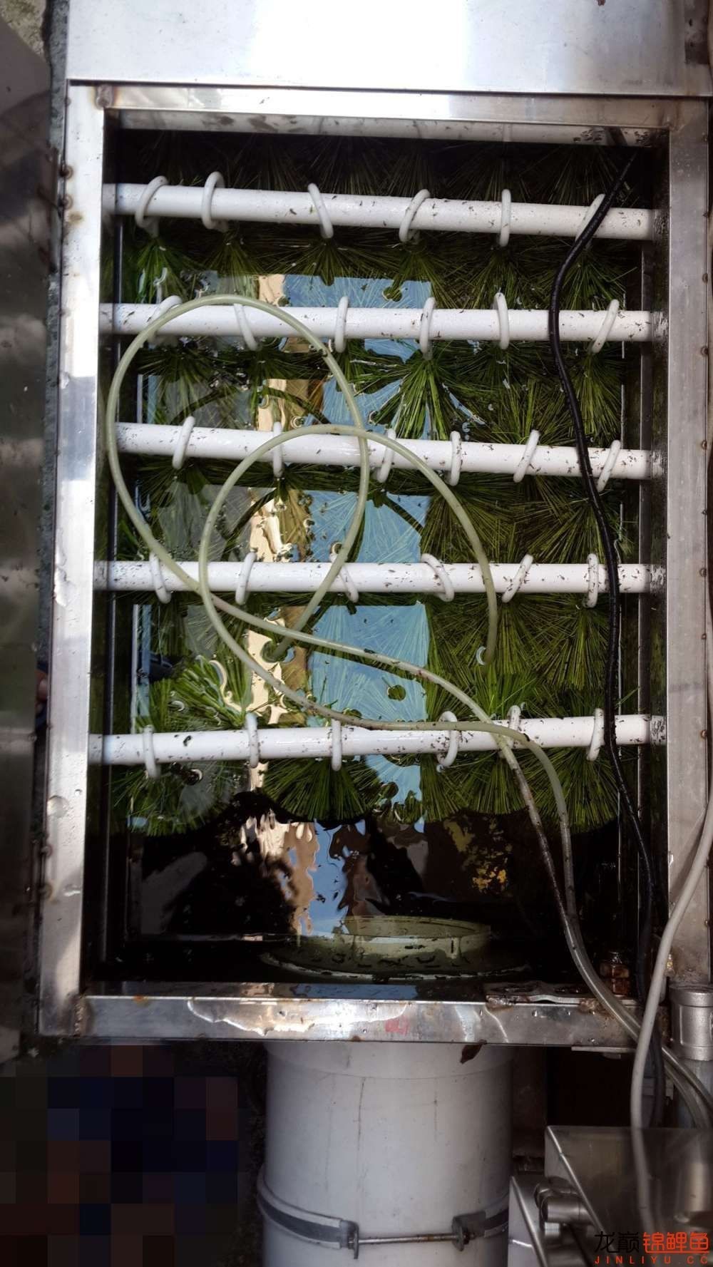 有效杀蚊,最好的杀蚊办法