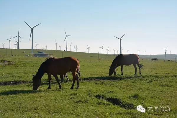 辉腾锡勒草原黄花沟10月,11月辉腾锡勒黄花沟草原旅游区