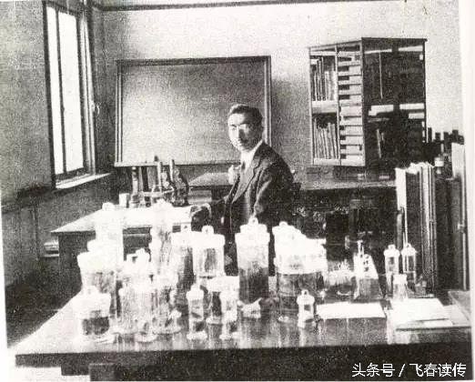 中国和日本能够友好相处吗,日本现在为什么对中国很友好