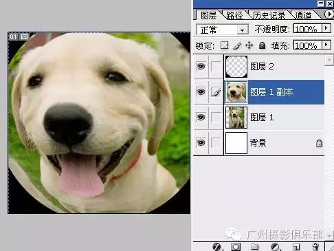 鱼眼镜头拍摄技巧,摄影镜头各种焦距