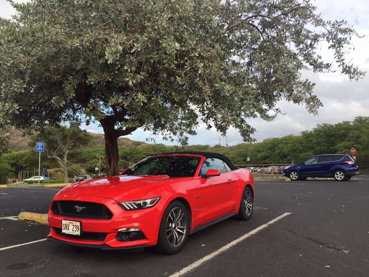夏威夷旅游有必要租车,夏威夷旅游租车攻略