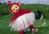 南乐西邵荷花池,南乐县西邵乡荷花池