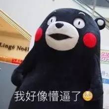 三得利黑乌龙茶,三得利黑乌龙茶和乌龙茶的区别