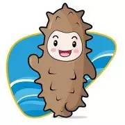 海参补气血的效果,海参通血管