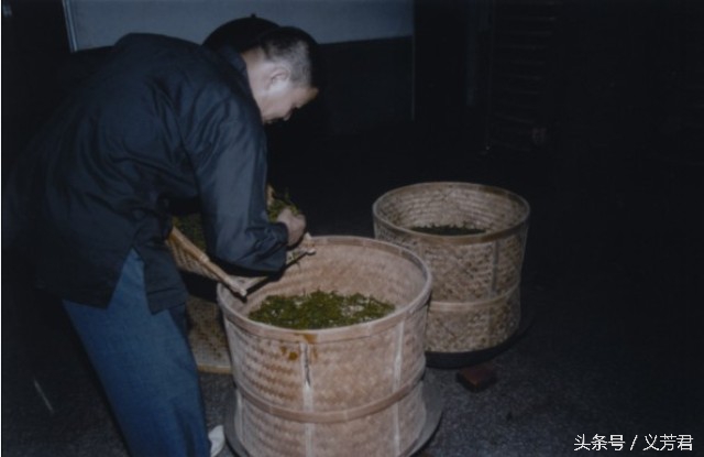 正宗闽南铁观音,古早味和兰花香铁观音