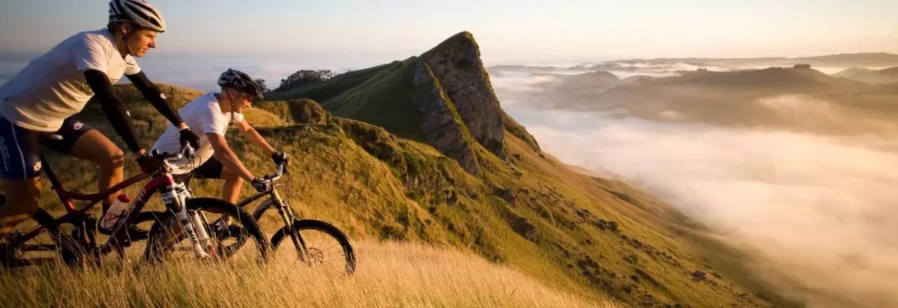 老中医蜂蜜系列,老中医生姜蜂蜜