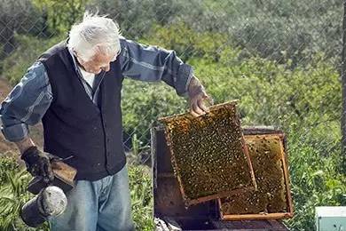 老中医蜂蜜系列,老中医生姜蜂蜜