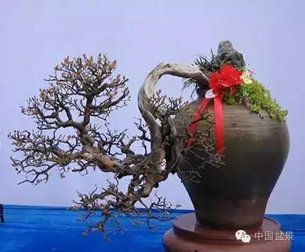 相识满天下知己有几人谁说的,相识满天下知己无一人出处