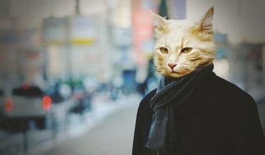 突然转变画风的伤感音乐,突然转变画风的英文歌