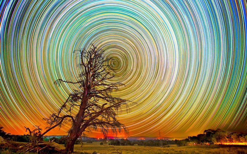 今天你做胎梦了吗？