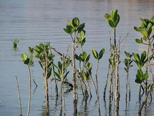 与摄影师骑行脚踏车体验台北市民生活