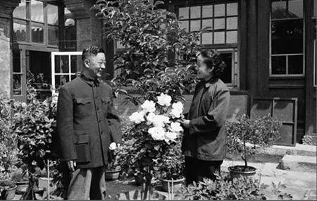 老舍如何走的,老舍逝去的原因