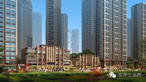 学区大还是片区大,滨湖新区哪个学区好