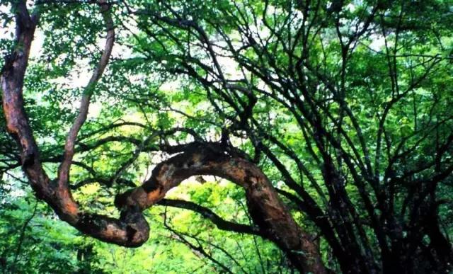 户外徒步成都一日游攻略,一日徒步登山成都