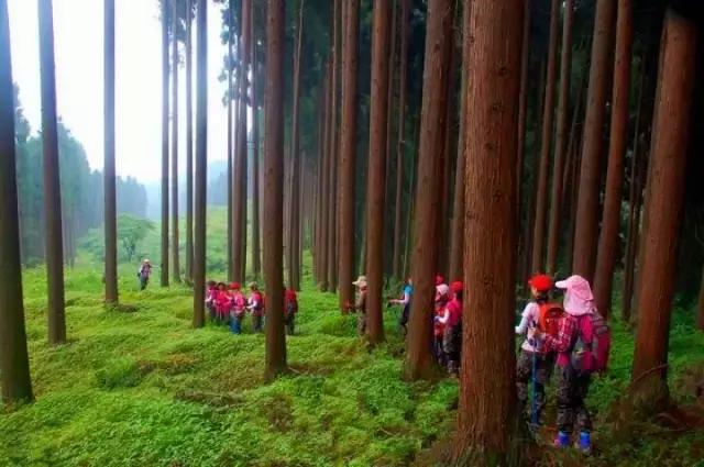 户外徒步成都一日游攻略,一日徒步登山成都