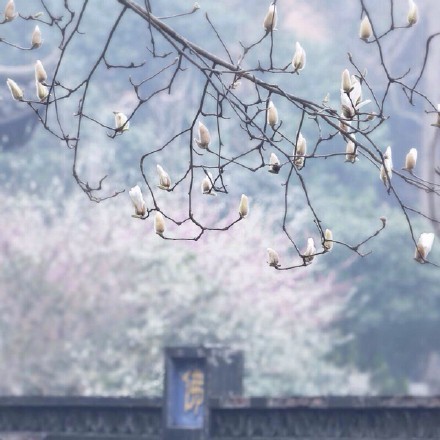 紫砂壶价格一路上升,赶紧收藏吧