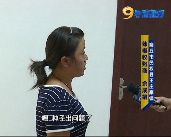 辣椒假种子,辣椒假种子最新进展