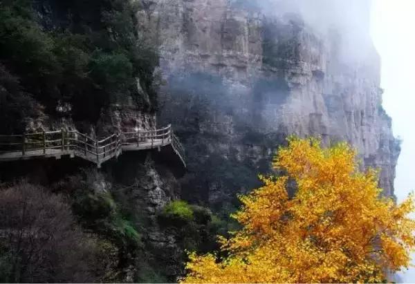 保定周边免费看红叶最佳旅游地点,保定周边一日游看红叶自驾游