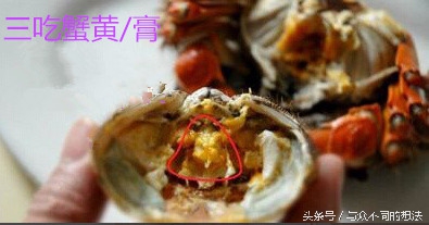 公螃蟹或者母螃蟹要怎么挑选,怎么挑公螃蟹和母螃蟹