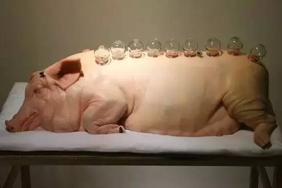 手把手教你看懂肾功能体检报告,教你肾功能化验单