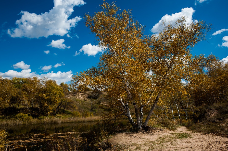 内蒙古多伦县姑娘湖,内蒙古多伦姑娘怎么样呢