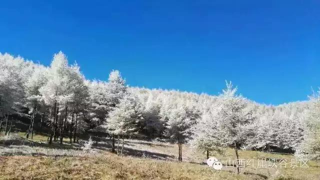 灵石红崖峡评价,灵石红崖峡门票价格