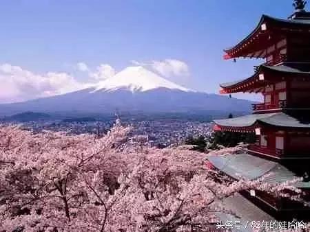 来到了海南岛才知道好不好,来到美国才知道的那些事儿