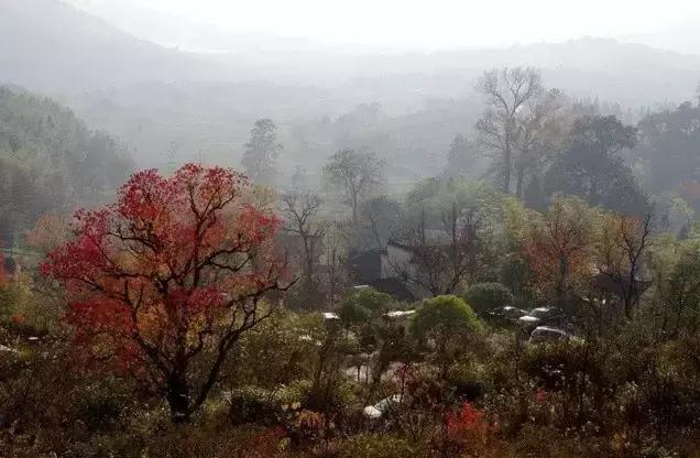 九月秋天美,九月的秋天多美好