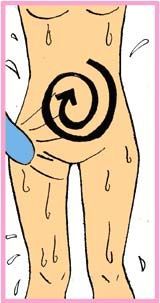 郑多燕减肥操小红帽有效果吗,郑多燕胖了是真的吗2018