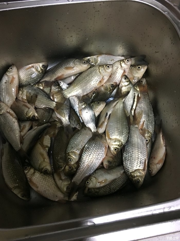 天气晴朗钓鱼,东北风天气钓鱼最佳钓位