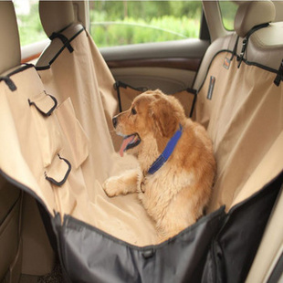 带狗狗出游必备小清单,假期适合带狗狗去哪里玩