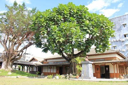 闲置空间再利用最佳典范，带你领略台湾的铁道艺术村！