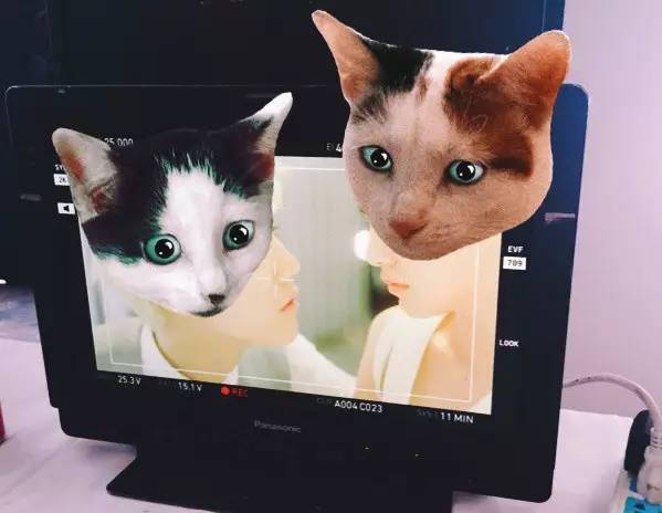 倪妮杨幂惊艳的照片,倪妮杨幂素颜照