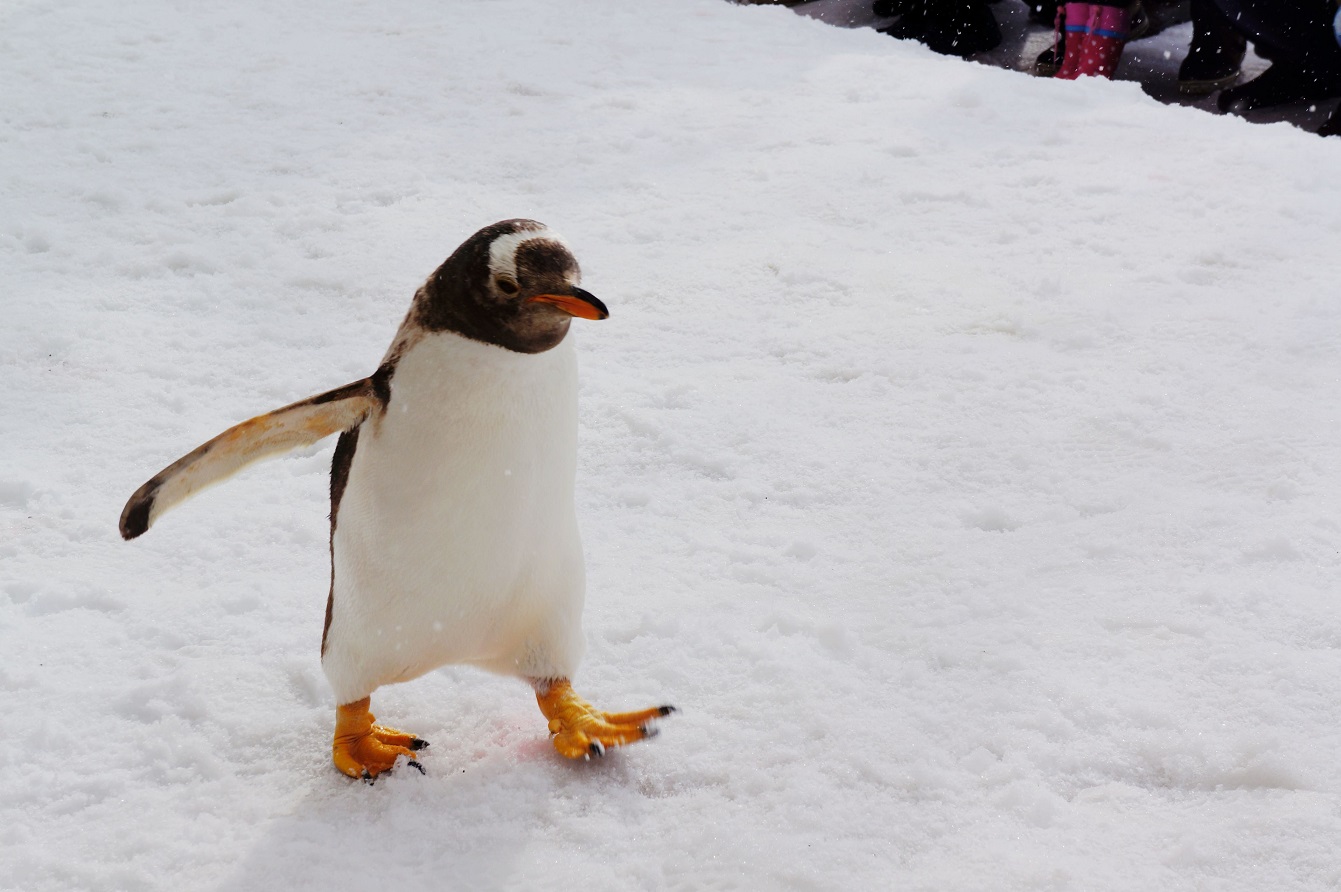 gloveglu喷雾门将手套,关于手套glove的故事