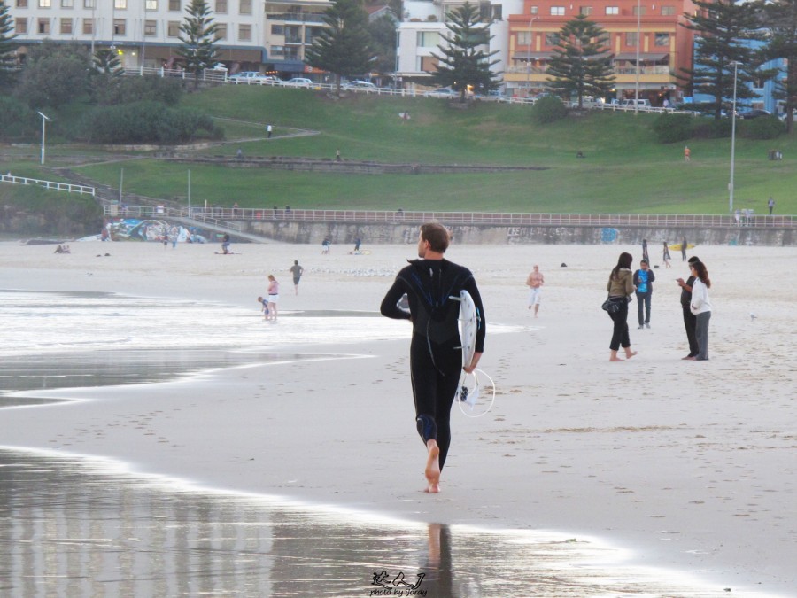 悉尼是啥味道,悉尼盐蚝