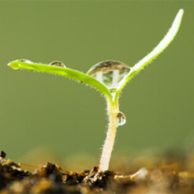 当下做什么小本生意最赚钱项目,50个冷门赚钱项目让你快速致富