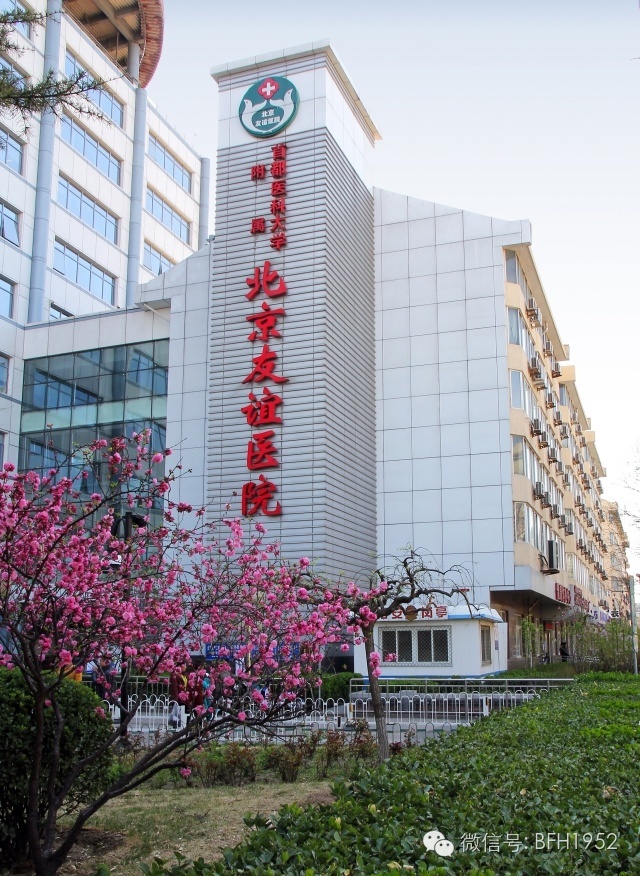 过敏真相科普,友谊科普知识大全