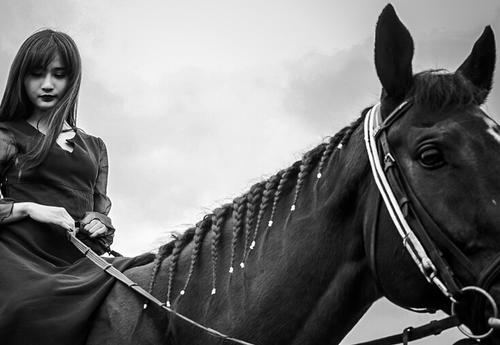 成为合格骑士的步骤,如何成为骑士技巧