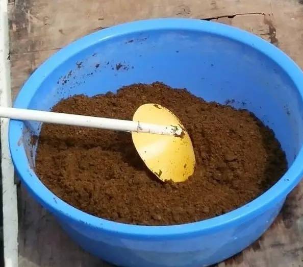 虾白便最佳治疗方法,虾的白便怎么防治