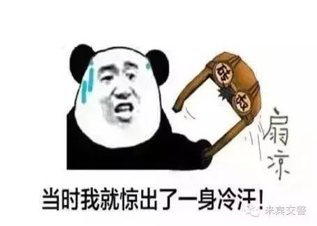 从桥上掉下来的大车,从桥上车掉下去一车人没事