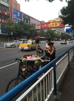 90后小伙创业在路上,90后创业小伙的葡萄梦